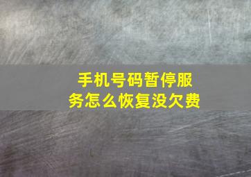 手机号码暂停服务怎么恢复没欠费