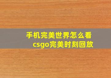 手机完美世界怎么看csgo完美时刻回放