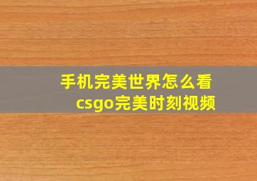 手机完美世界怎么看csgo完美时刻视频