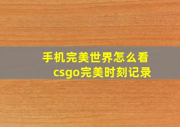 手机完美世界怎么看csgo完美时刻记录