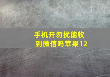 手机开勿扰能收到微信吗苹果12