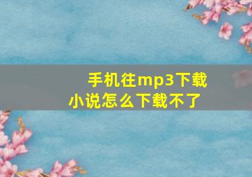 手机往mp3下载小说怎么下载不了