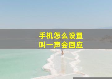 手机怎么设置叫一声会回应