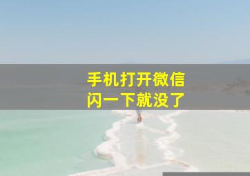 手机打开微信闪一下就没了