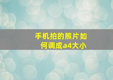 手机拍的照片如何调成a4大小