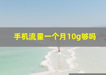 手机流量一个月10g够吗