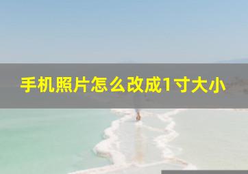 手机照片怎么改成1寸大小