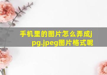 手机里的图片怎么弄成jpg.jpeg图片格式呢