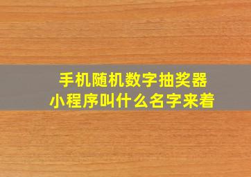 手机随机数字抽奖器小程序叫什么名字来着