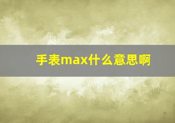 手表max什么意思啊