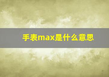 手表max是什么意思