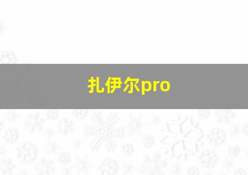 扎伊尔pro