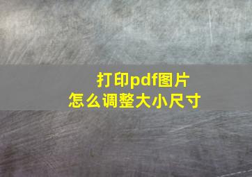 打印pdf图片怎么调整大小尺寸