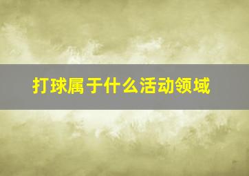 打球属于什么活动领域