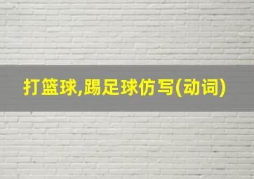 打篮球,踢足球仿写(动词)