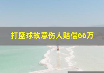 打篮球故意伤人赔偿66万