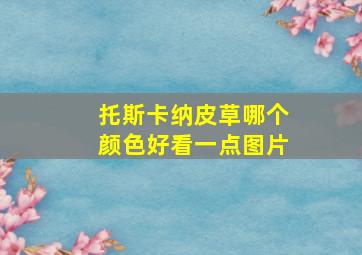 托斯卡纳皮草哪个颜色好看一点图片