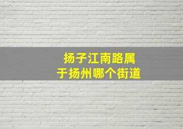 扬子江南路属于扬州哪个街道