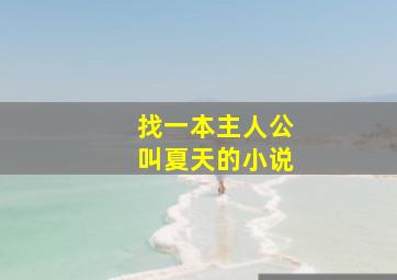 找一本主人公叫夏天的小说