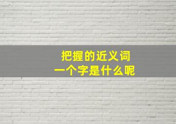 把握的近义词一个字是什么呢