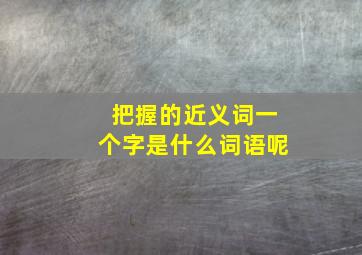 把握的近义词一个字是什么词语呢