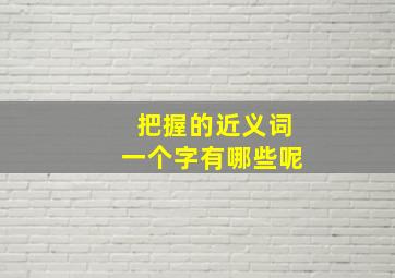 把握的近义词一个字有哪些呢