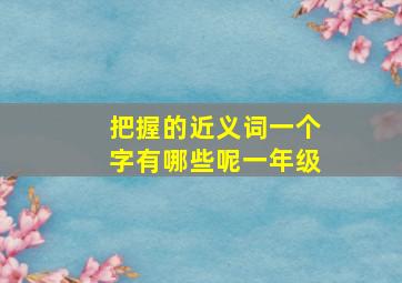 把握的近义词一个字有哪些呢一年级