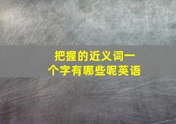 把握的近义词一个字有哪些呢英语