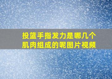 投篮手指发力是哪几个肌肉组成的呢图片视频