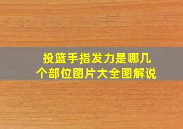 投篮手指发力是哪几个部位图片大全图解说