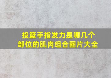 投篮手指发力是哪几个部位的肌肉组合图片大全