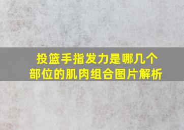 投篮手指发力是哪几个部位的肌肉组合图片解析