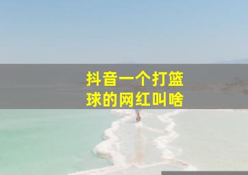 抖音一个打篮球的网红叫啥