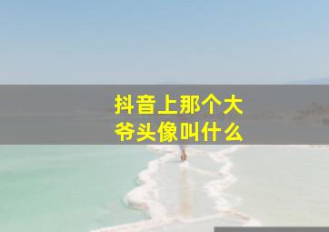 抖音上那个大爷头像叫什么