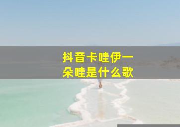 抖音卡哇伊一朵哇是什么歌