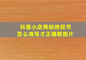 抖音小店商标授权书怎么填写才正确呢图片