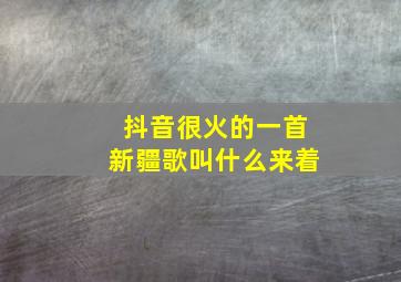 抖音很火的一首新疆歌叫什么来着