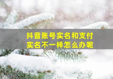 抖音账号实名和支付实名不一样怎么办呢