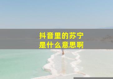 抖音里的苏宁是什么意思啊