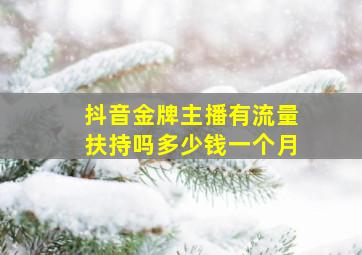 抖音金牌主播有流量扶持吗多少钱一个月