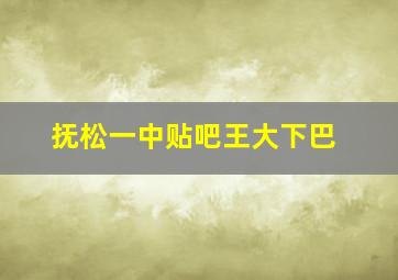 抚松一中贴吧王大下巴