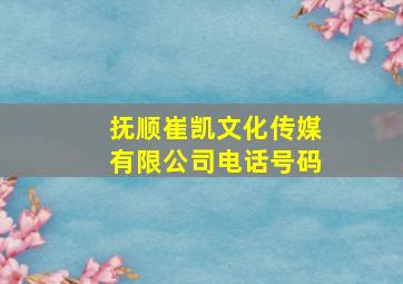 抚顺崔凯文化传媒有限公司电话号码