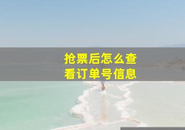 抢票后怎么查看订单号信息