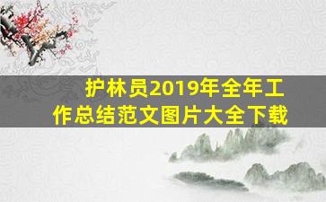 护林员2019年全年工作总结范文图片大全下载