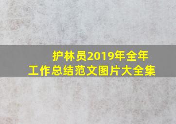 护林员2019年全年工作总结范文图片大全集