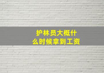 护林员大概什么时候拿到工资