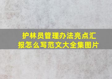 护林员管理办法亮点汇报怎么写范文大全集图片