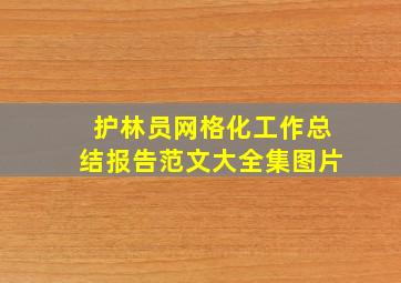 护林员网格化工作总结报告范文大全集图片