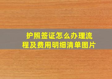 护照签证怎么办理流程及费用明细清单图片