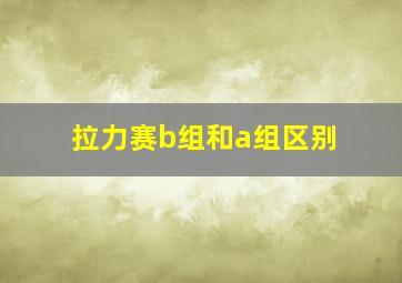 拉力赛b组和a组区别